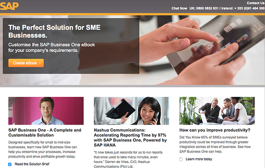 SAP Business One cost
